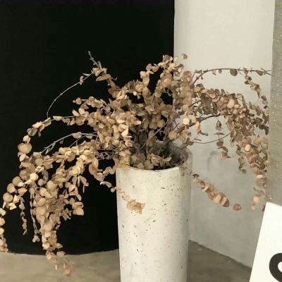 兽设家庭场景绘制福瑞交流群